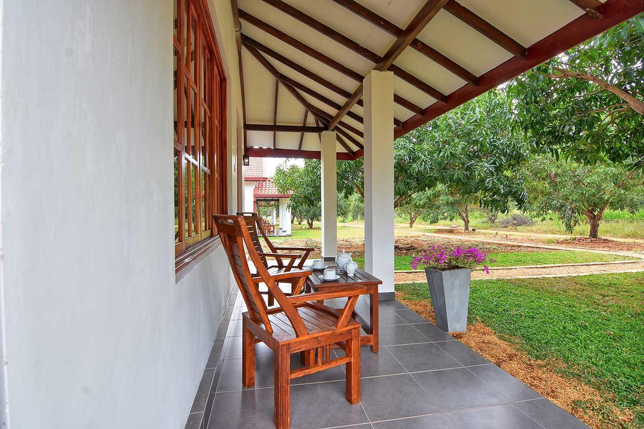 Dambulla Hills Resort Extérieur photo