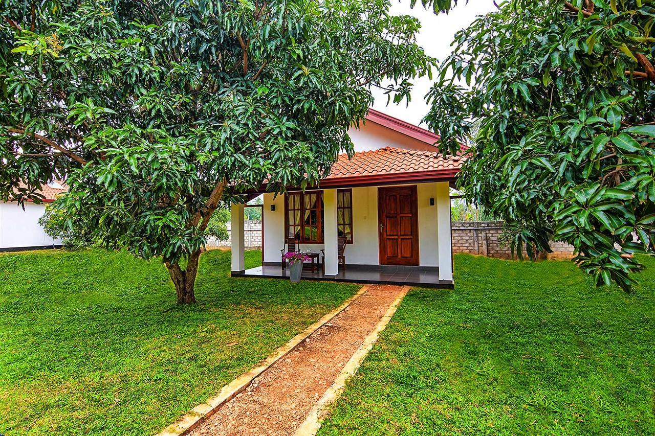 Dambulla Hills Resort Extérieur photo