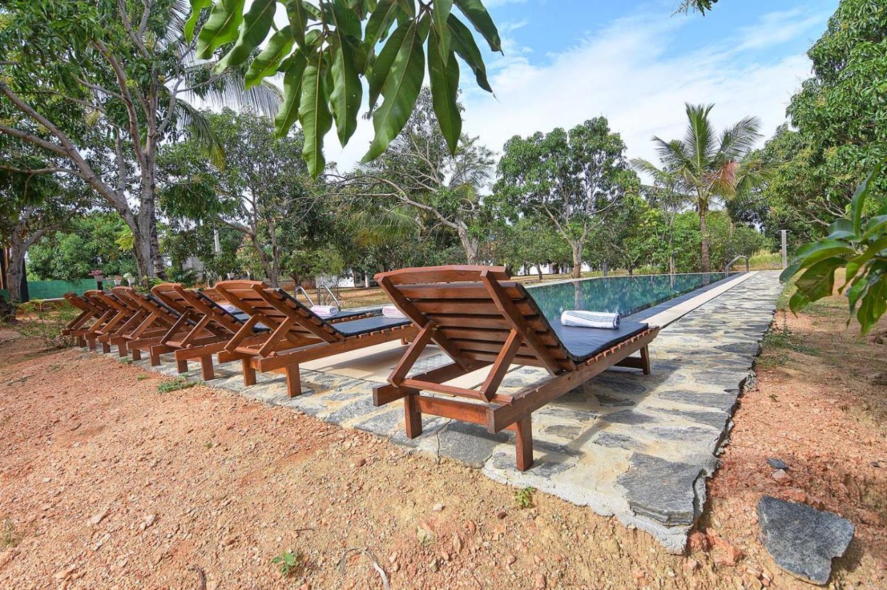 Dambulla Hills Resort Extérieur photo