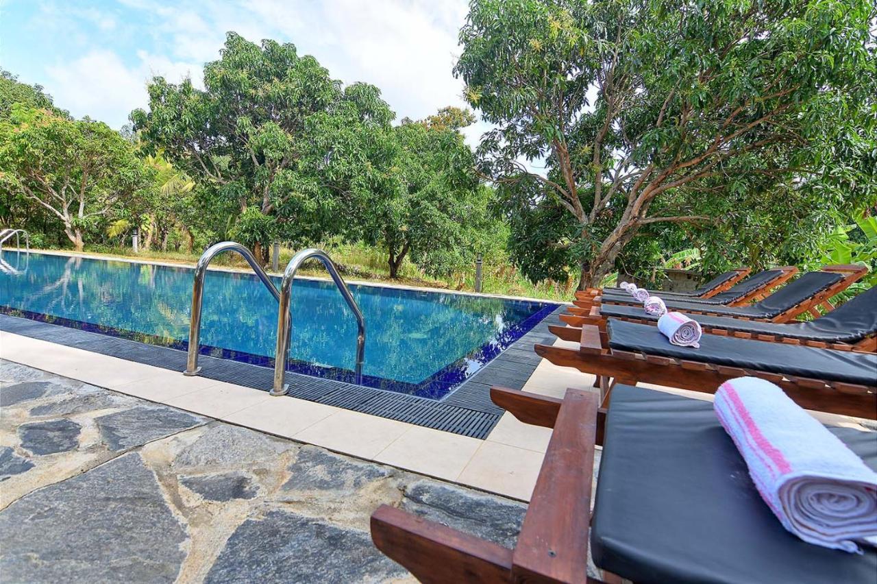 Dambulla Hills Resort Extérieur photo