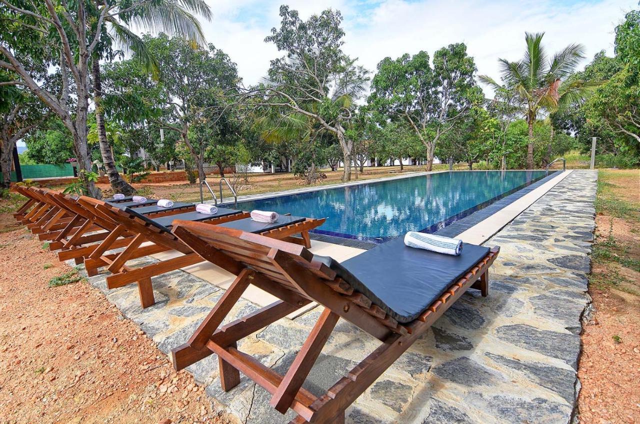 Dambulla Hills Resort Extérieur photo